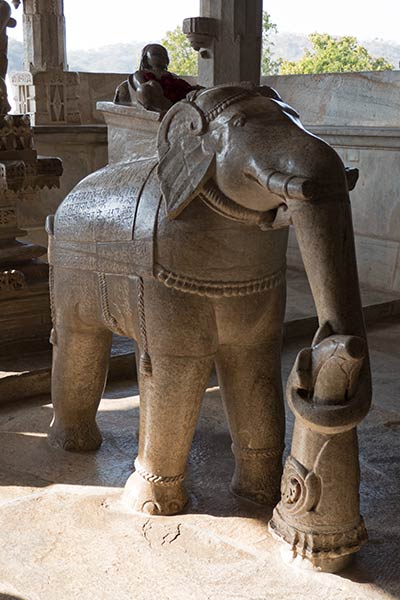 Rajasthan Elephant
